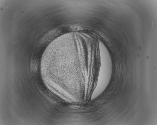 X0000085060315200704021352