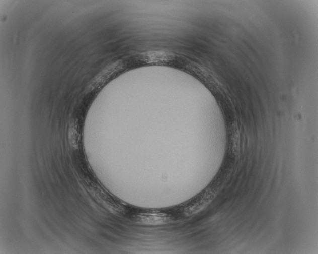 X0000085060316200704021351