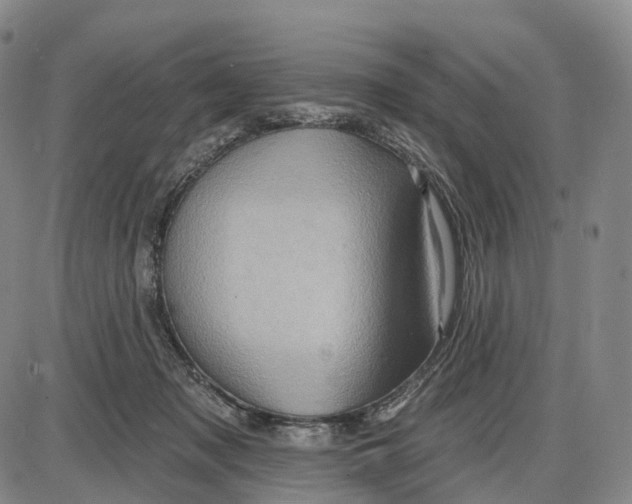 X0000085060317200704021351