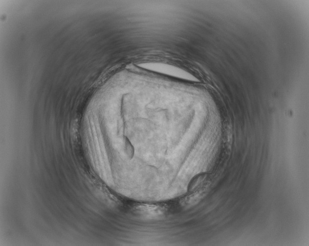 X0000085060326200704021351