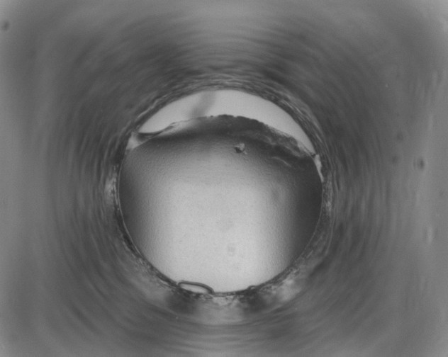 X0000085060329200704021351