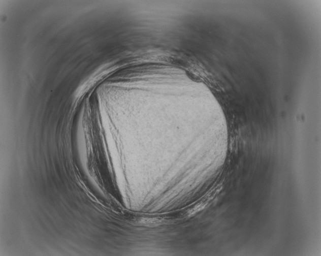 X0000085060341200704021350