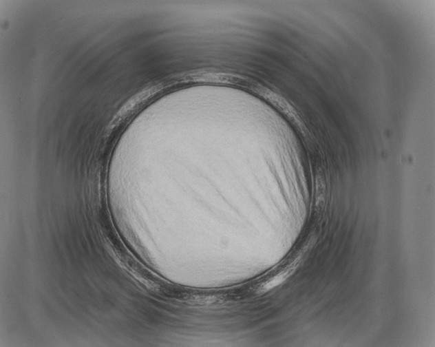 X0000085060349200704021351