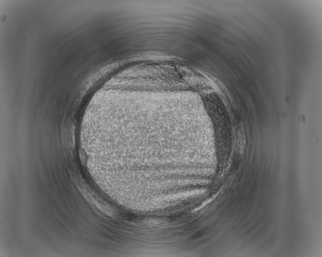 X0000085060350200704021351