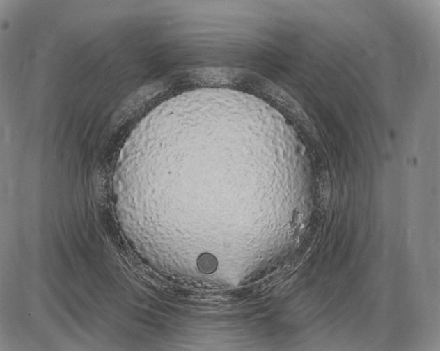 X0000085060359200704021351