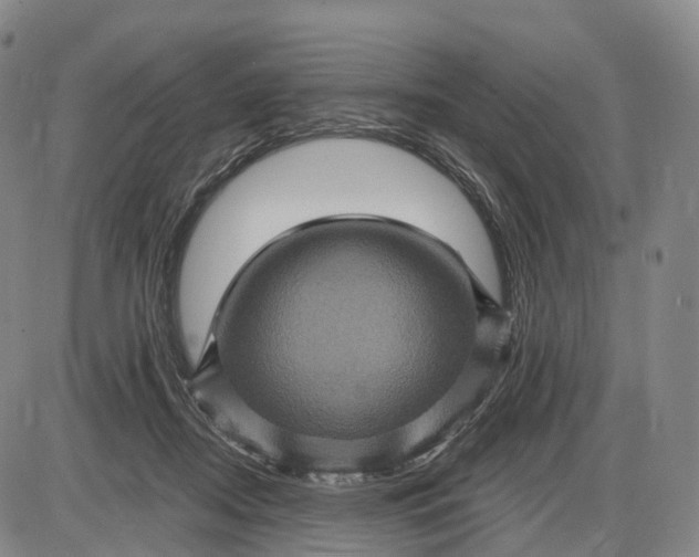 X0000085060362200704021351