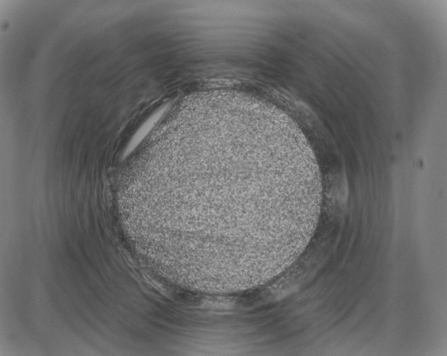 X0000085060369200704021351