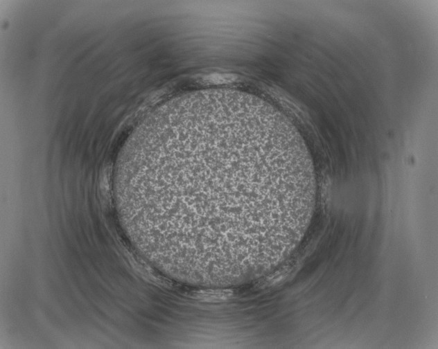 X0000085060373200704021351