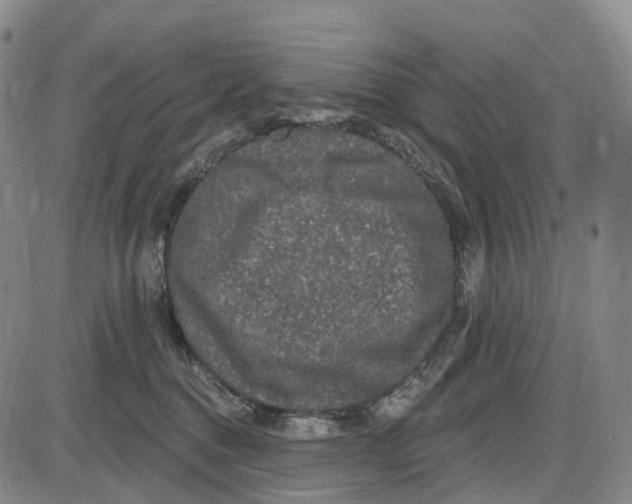 X0000085060376200704021351