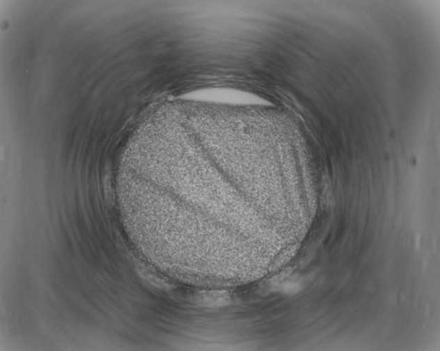X0000085060377200704021351