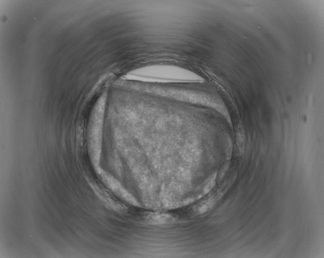 X0000085060379200704021351