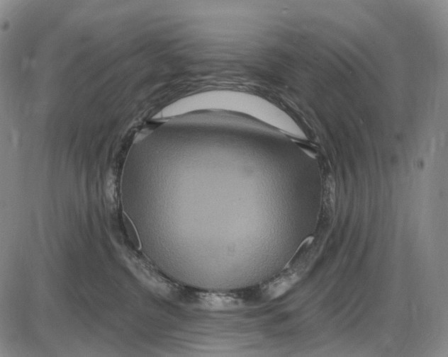 X0000085060380200704021351