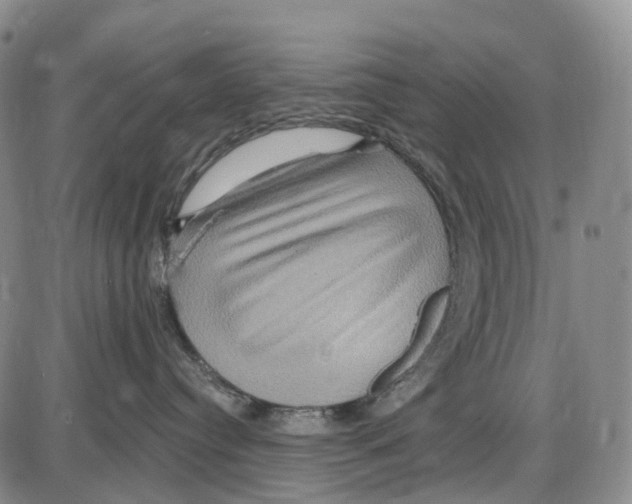 X0000085060384200704021351