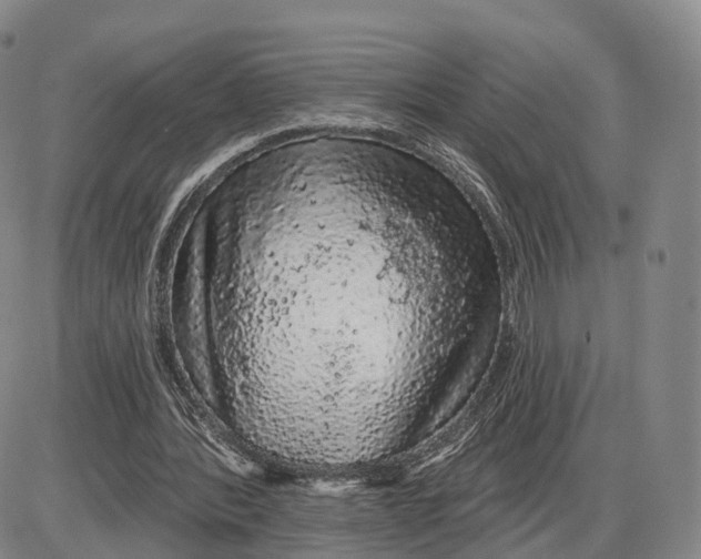 X0000085060388200704021350