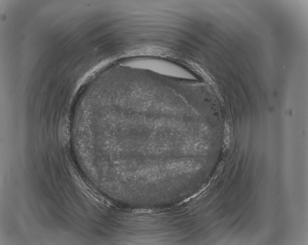 X0000085060392200704021350