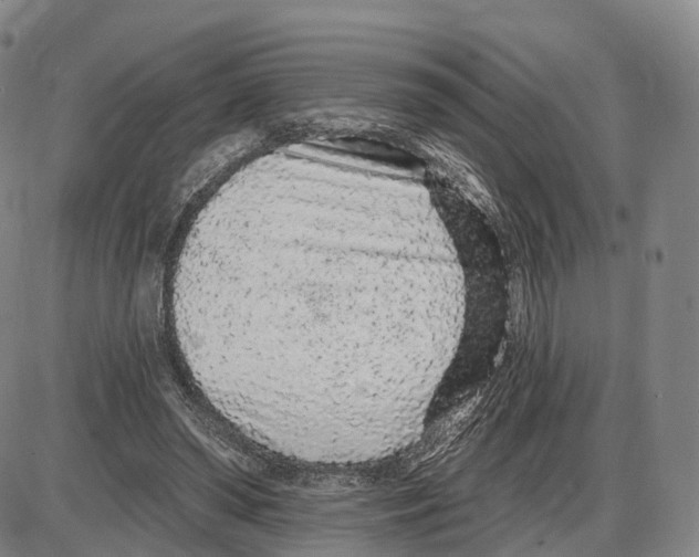 X0000085060398200704021350