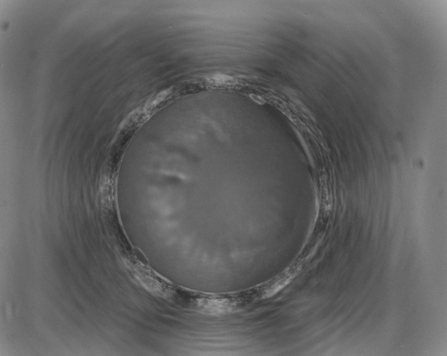 X0000085060419200704021350