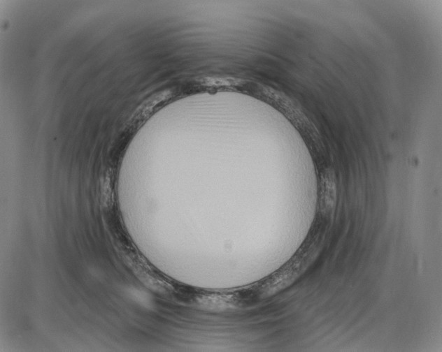 X0000085060422200704021350