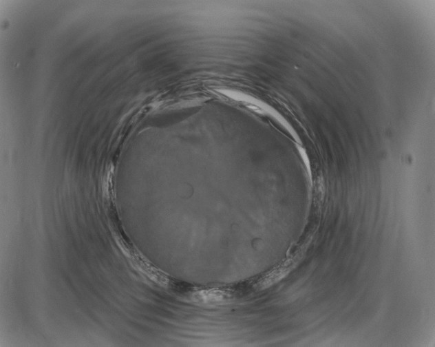 X0000085060423200704021350