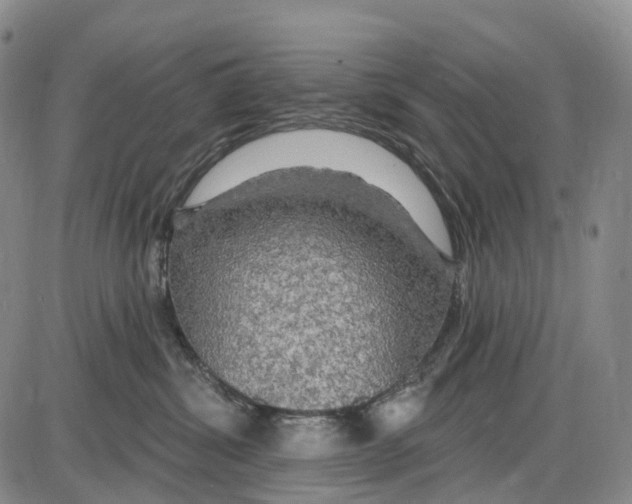 X0000085060428200704021350