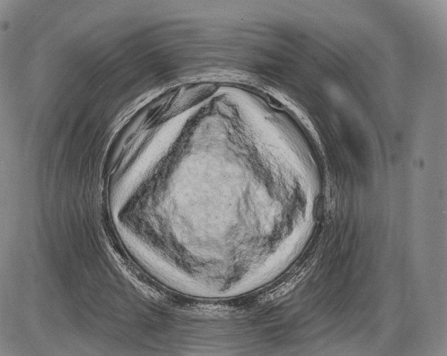 X0000085060437200704021349