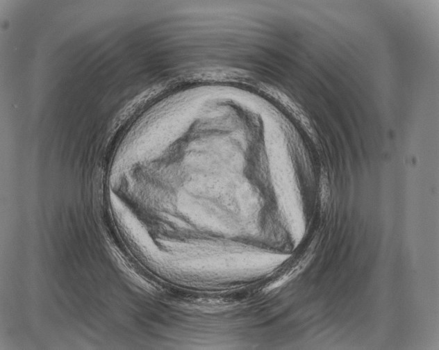X0000085060445200704021349
