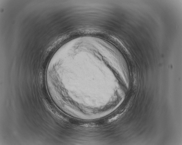 X0000085060447200704021349