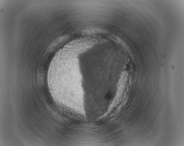 X0000085060452200704021349