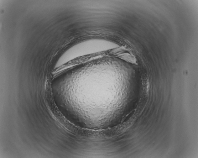X0000085060456200704021349