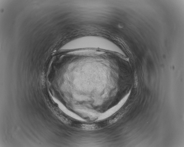 X0000085060457200704021349