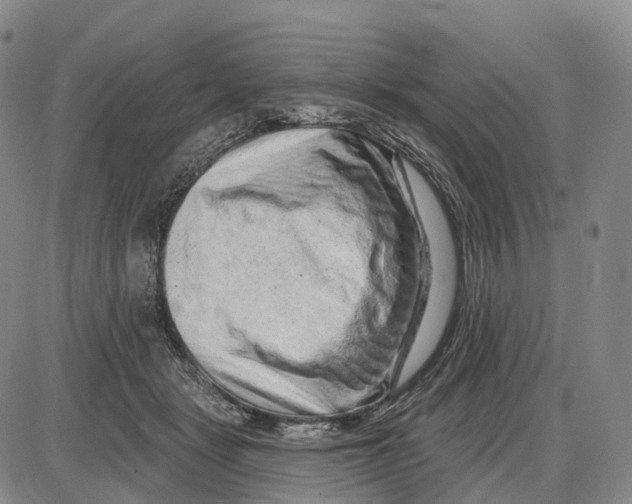 X0000085060461200704021349