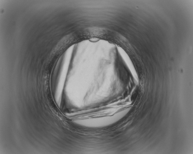 X0000085060462200704021349