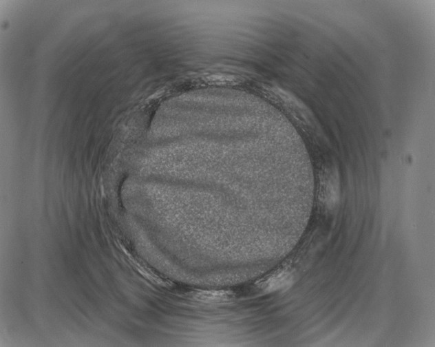 X0000085060465200704021349