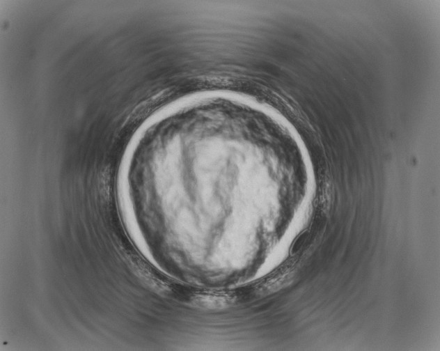 X0000085060466200704021349