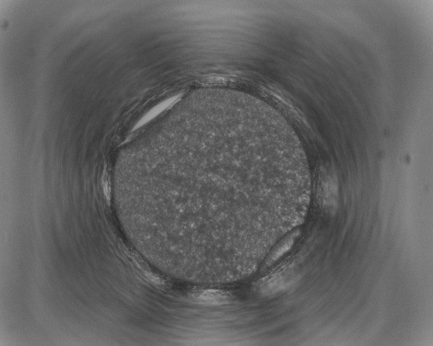 X0000085060467200704021349