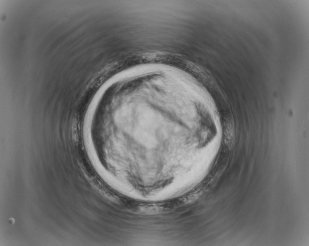 X0000085060470200704021349