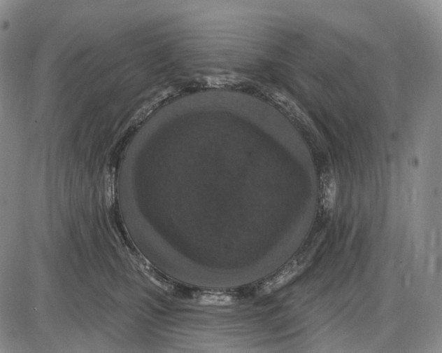 X0000085060471200704021349