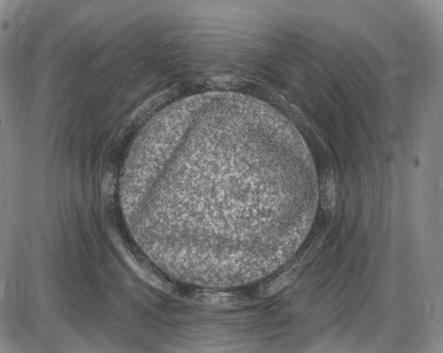 X0000085060472200704021349
