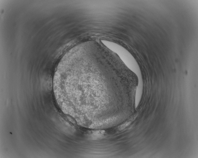 X0000085060474200704021349