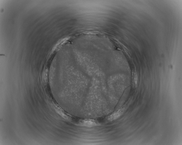 X0000085060475200704021349
