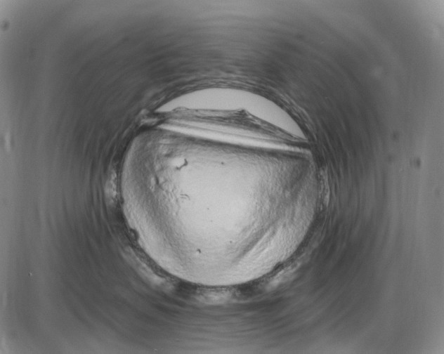 X0000085060479200704021350