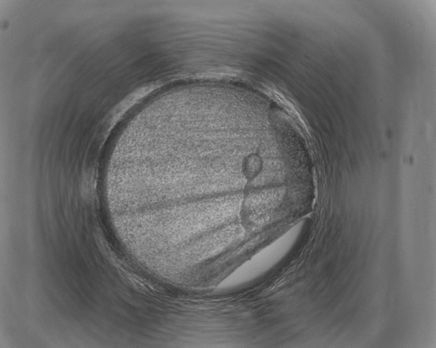 X0000085060483200704021349
