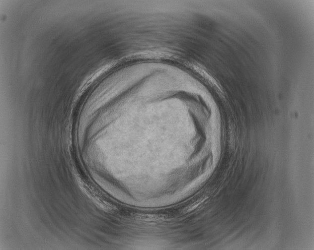 X0000085060486200704021349