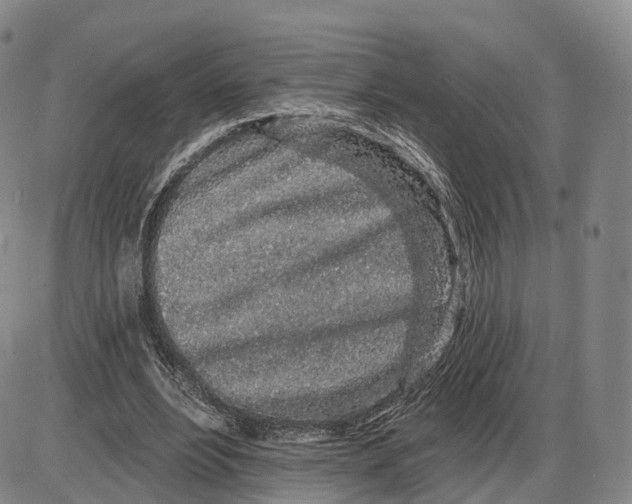 X0000085060488200704021349