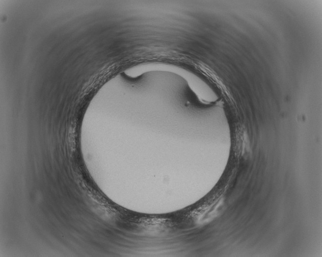 X0000085060497200704021348