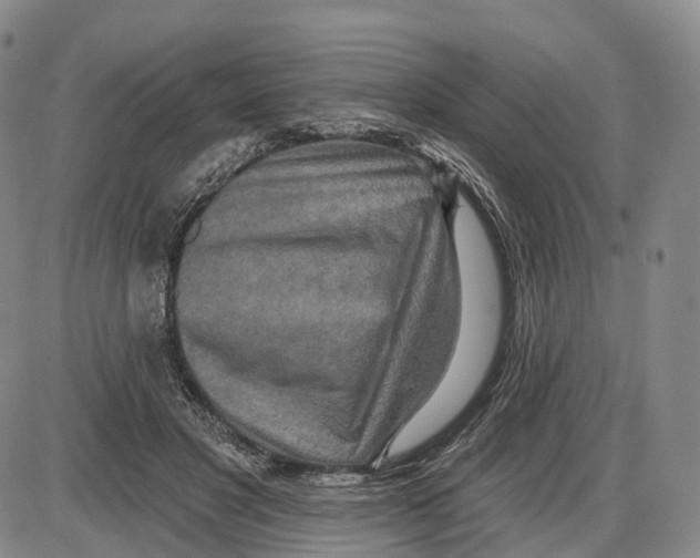 X0000085060501200704021348