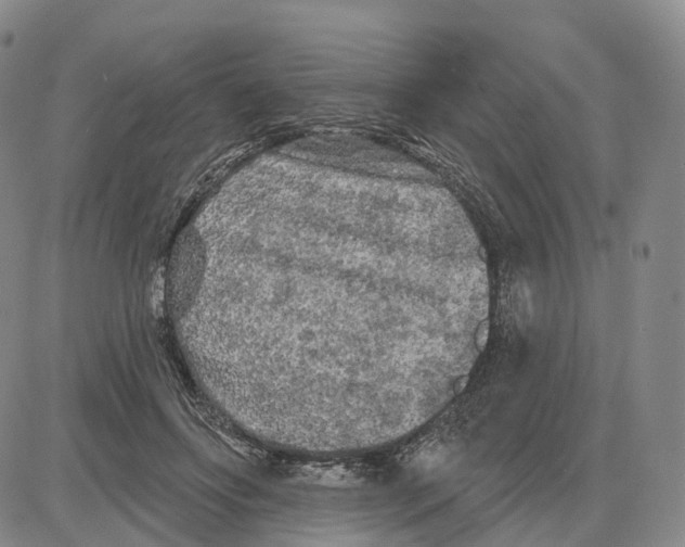 X0000085060502200704021348