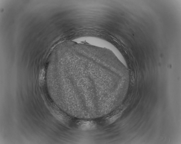 X0000085060507200704021348