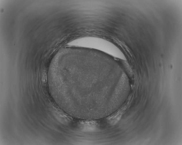 X0000085060517200704021348