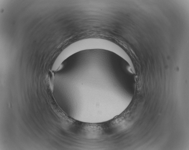 X0000085060521200704021348